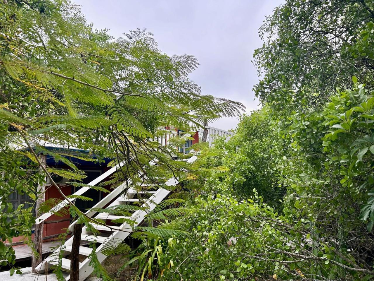 Bed and Breakfast Casa Kubler Puerto Ayora  Exterior foto